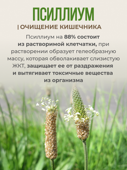 Псиллиум (200 гр)
