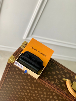 Louis Vuitton Zipped Organizer