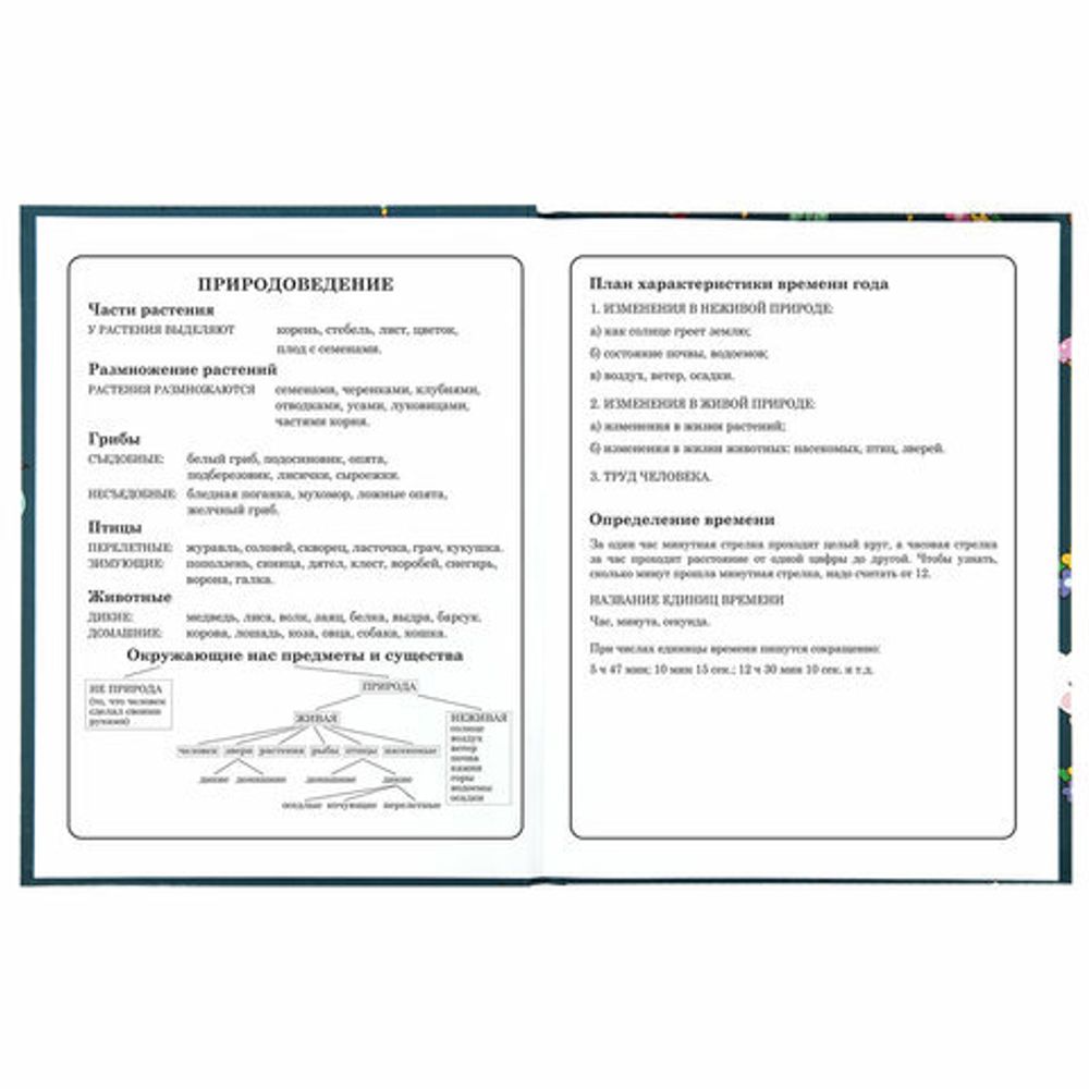 Дневник 1-4 класс 48 л., твердый, ЮНЛАНДИЯ, глянцевая ламинация, с подсказом, "Kittycorn", 106346