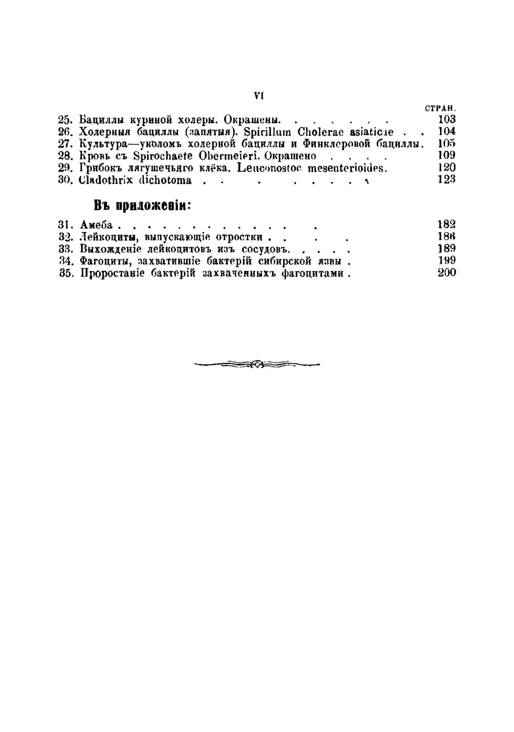 Бактерии и их роль в жизни человека | Мигула В.