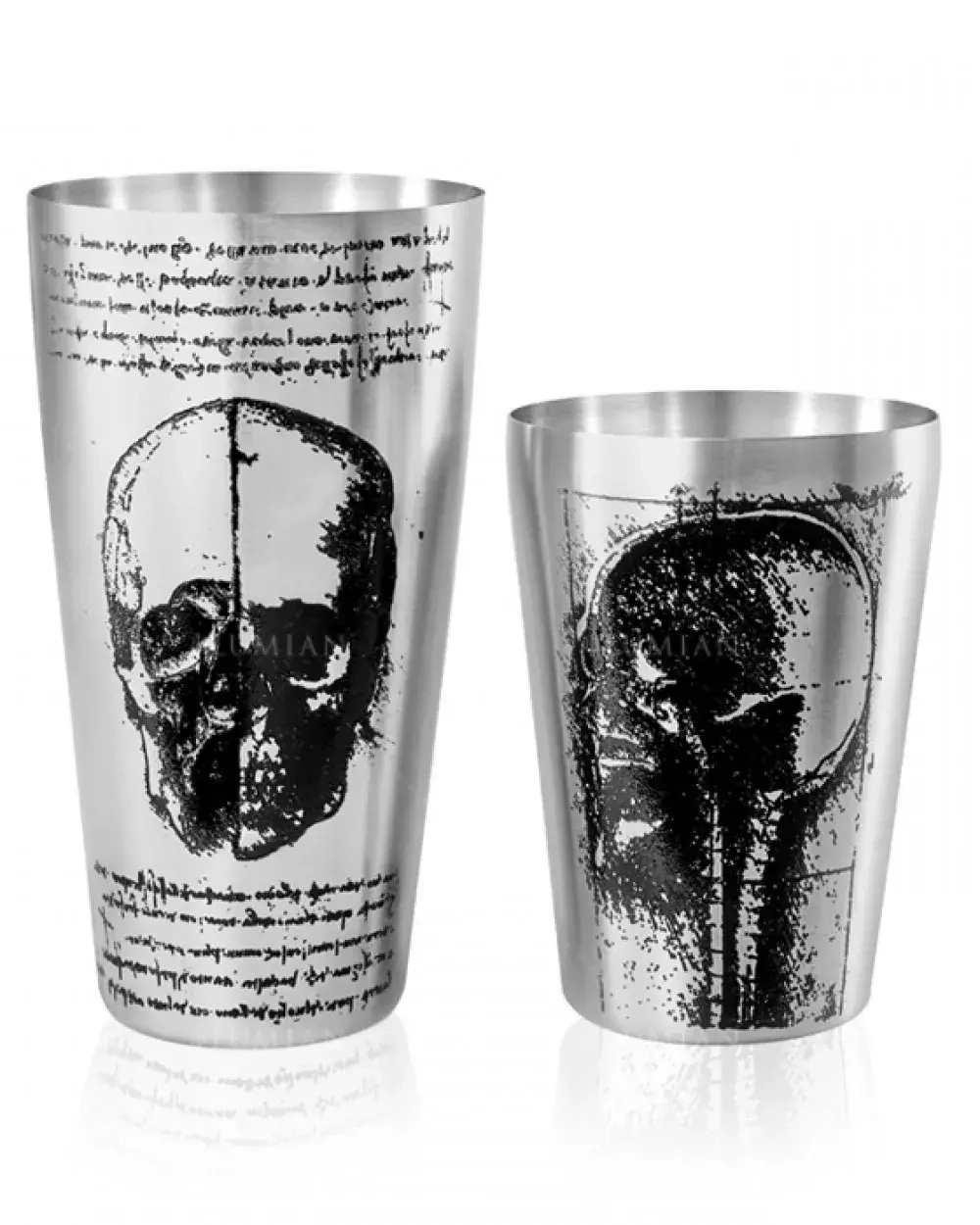 Шейкер Lumian Yokai Boston Leonardo Tin & Half Tin, 18-28 oz, серебро с гравировкой