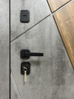 Дверь входная Сохо