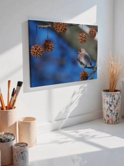 Картина на стену 40 X 50 Птица