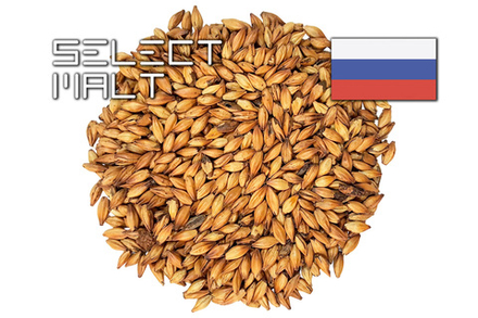 CARAMEL MEDIUM (SELECT MALT)