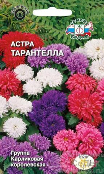 Астра Тарантелла карликовая хризантемовидная (смесь) 0,1 г Седек