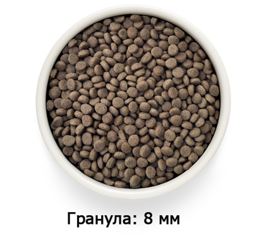 GRANDORF VETDIET Renal Turkey - ВЕТДИЕТА для кошек с почечной недостаточностью.