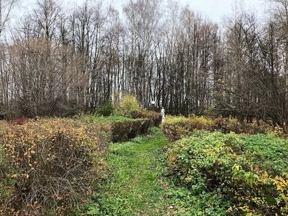 Уборка территории «Летнего сада»