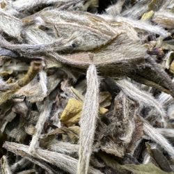 Бай Му Дань "Белый пион" 50 г