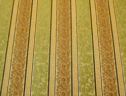 Шенилл Бланк полоса салатовый