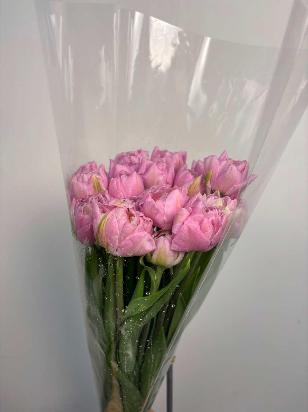 Пачка Махровых Тюльпанов розовых (25шт.)