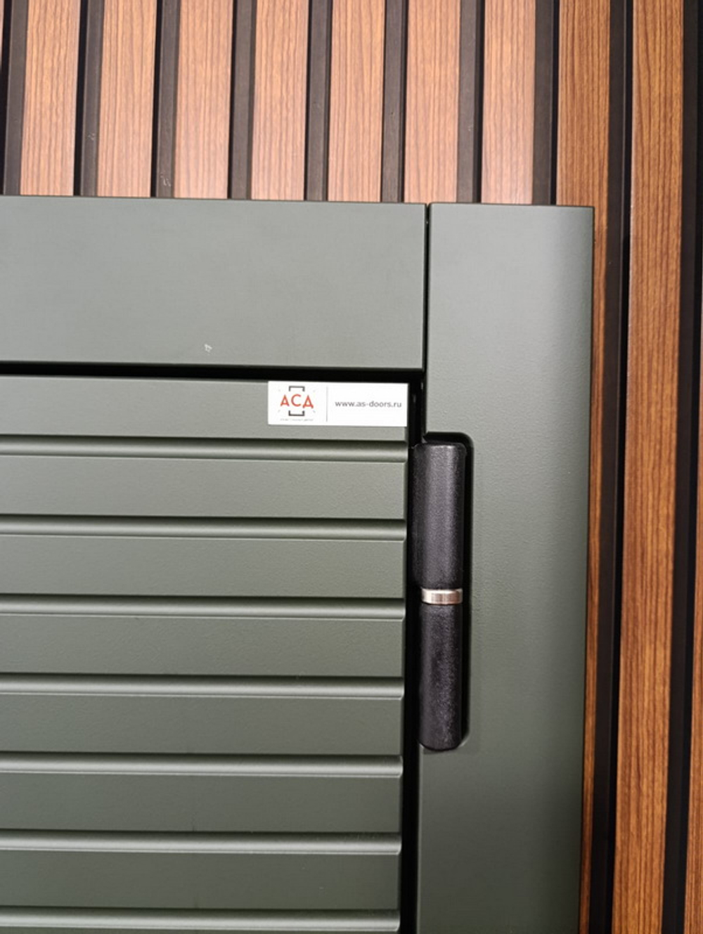 Стальная дверь "Ferrum" с зеркалом (адаптивная замковая часть)