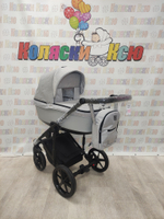 Коляска модульная Adamex Amelia AM248