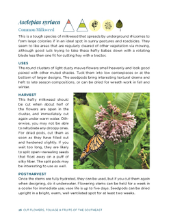 Cut Flowers, Foliage and Fruits of the Southeast