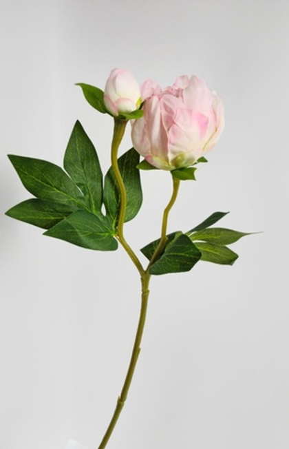 Бутон пиона / Арт 2216