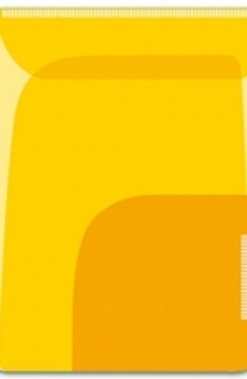 Папка-уголок для заметок арт.46727/12 ЖЕЛТЫЙ + ОРАНЖЕВЫЙ (11х16, 2 шт.)