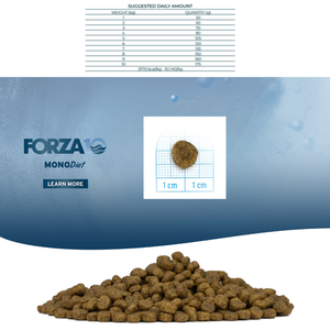 Сухой корм Forza 10 Mini Diet Agnello con Riso для взрослых собак мелких пород, с ягнёнком и рисом, склонных к пищевой аллергии и непереносимости