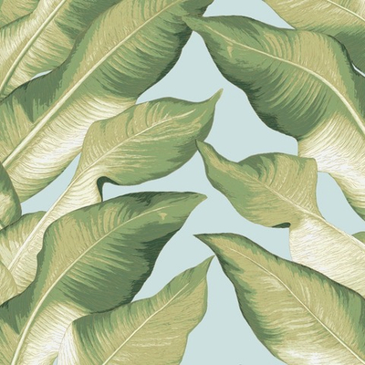 Modern Heritage 125th Anniversary