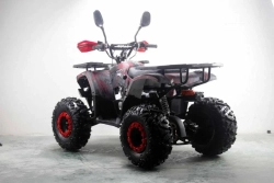 Квадроцикл MOTAX ATV Grizlik Premium 125cc