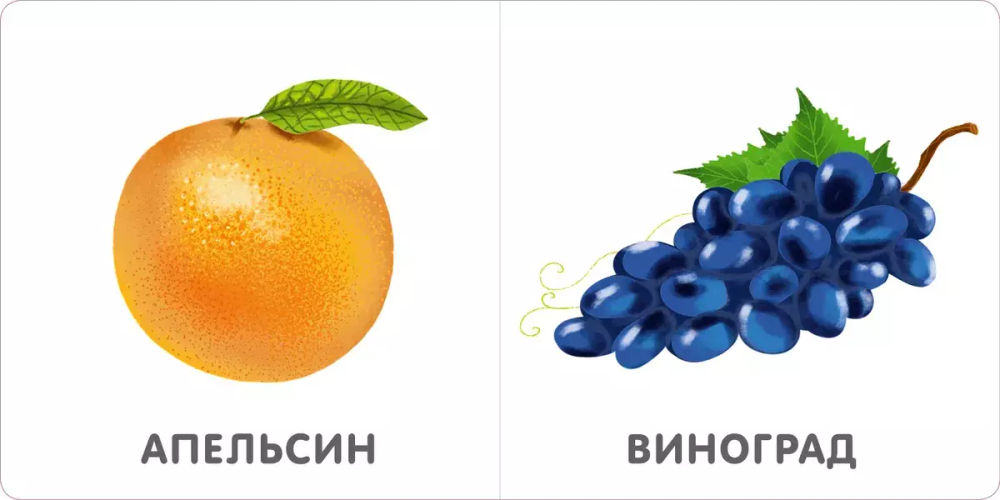 Книжки - картонки. Фрукты и ягоды
