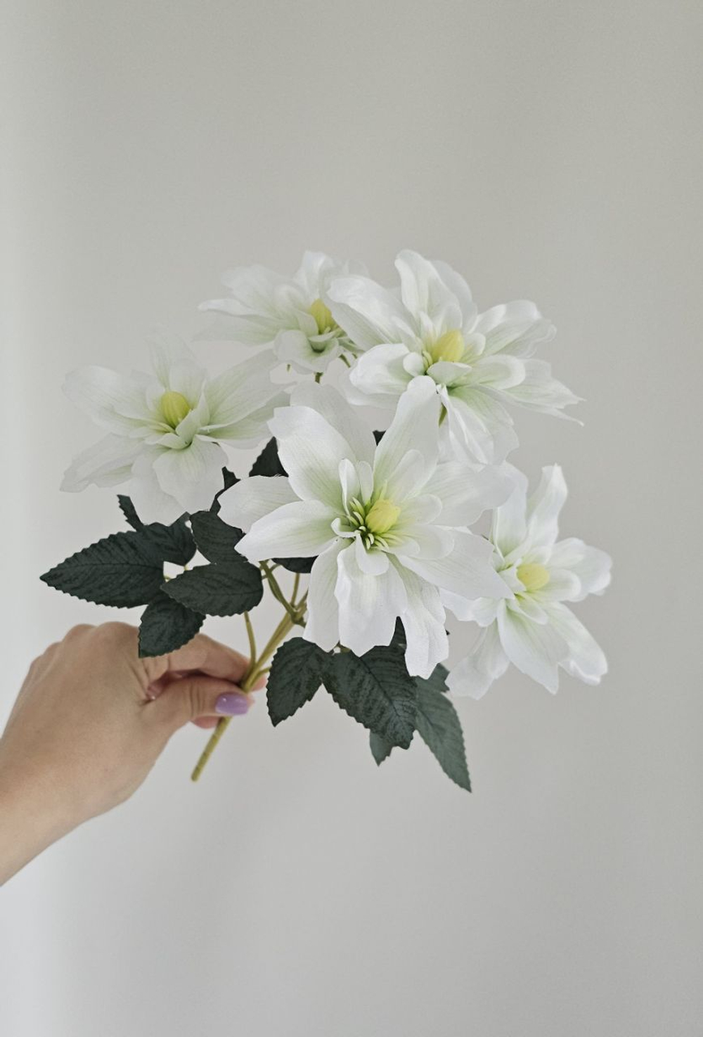 Клематис / Арт 2581