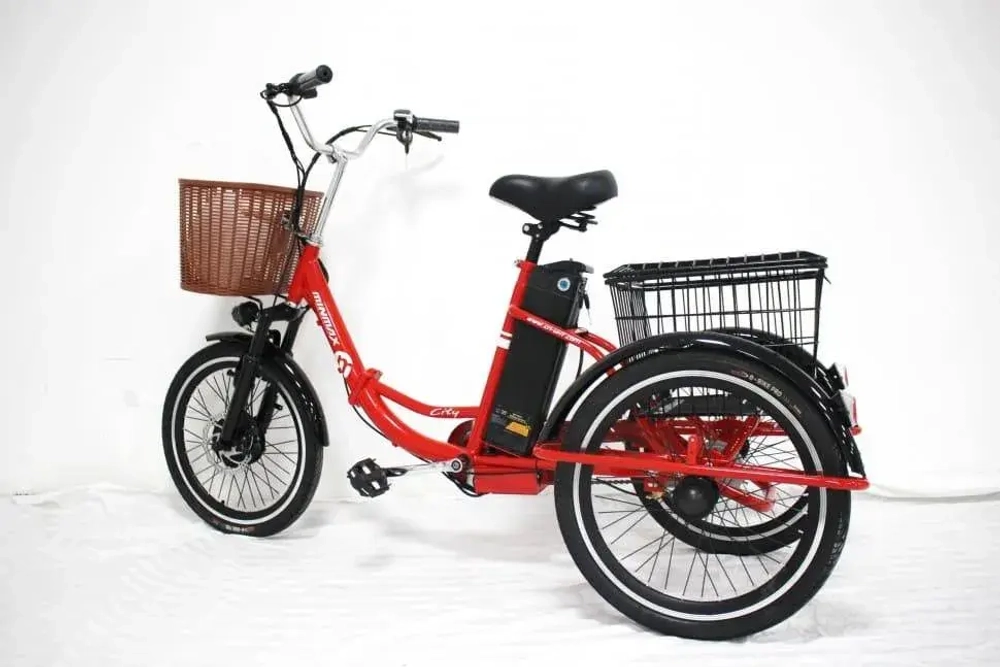Электровелосипед Green Camel Трайк-20 (R20 500W 48V) Складной