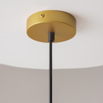 Подвесной светильник Maytoni P363PL-01G