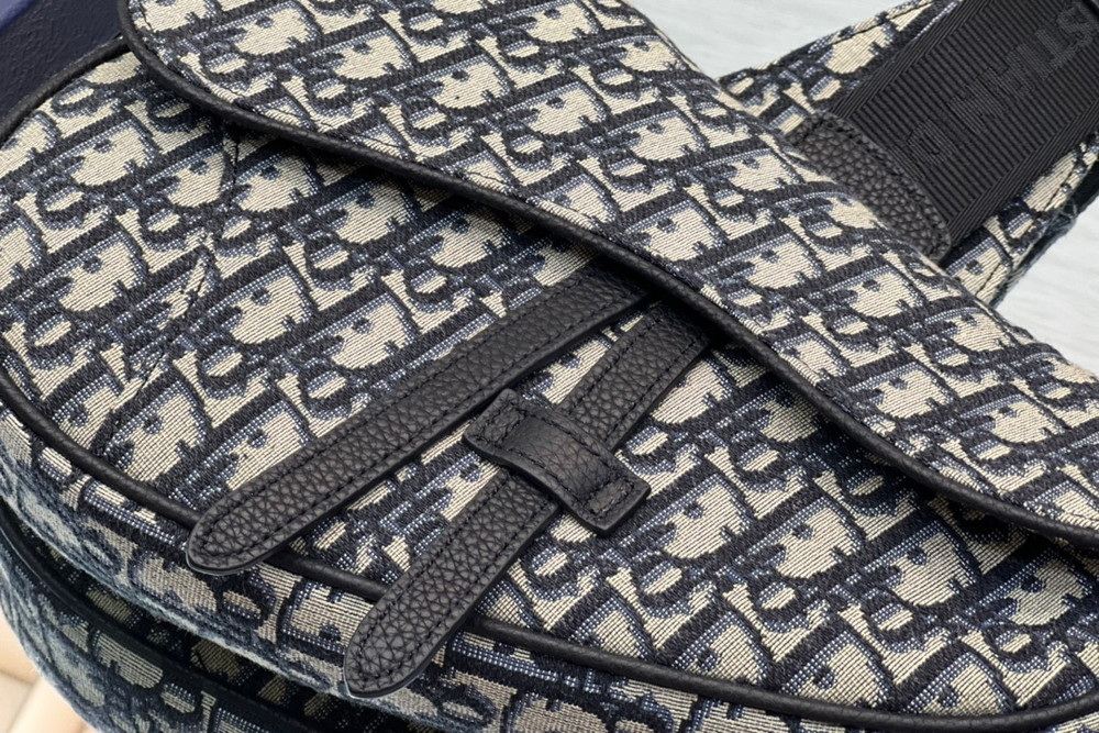 Christian Dior Saddle 26 cm