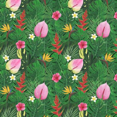 Tропические цветы и листья акварель