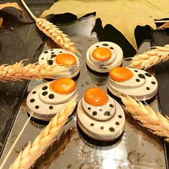 411 | Форма для шоколадных изделий (275*175 мм)