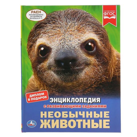 Энциклопедия А4 с развивающими заданиями.Необычные животные. 197х255мм. 48 стр. Умка