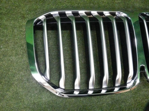 Решетка радиатора BMW X7 G07 (2019-2022)