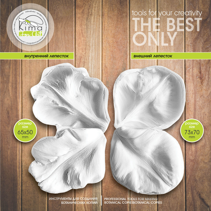 Тюльпан попугайный