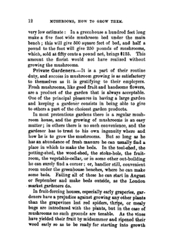 Mushrooms. how to grow them: a practical treatise on mushroom culture for profit and pleasure | William Falconer