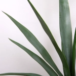 Дерево искусственное «Пальма Юкка» 100см в горшке