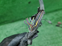 Проводка переднего бампера Audi A8 4 D5 (2017-н.в.)