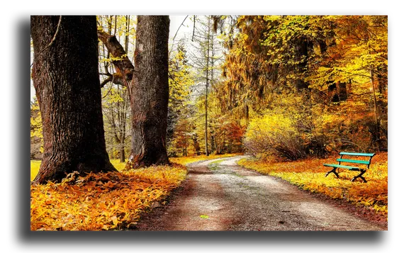 Постер "Осенняя тропа"