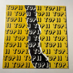 Винтажная виниловая пластинка LP Сборник Top 11 (Венгрия 1982) (Neoton Familia, KFT, Katona Klari)