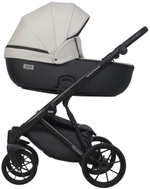 Детская коляска Riko Basic Montana X Ecco 2 в 1 31 Light Silver-Black (св.серый-черный)