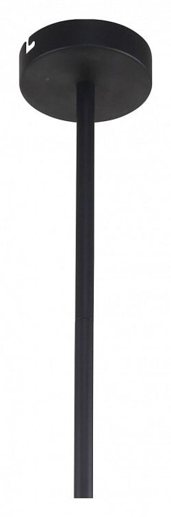 Люстра на штанге F-promo Chart 3092-8P