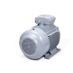 Электродвигатель ESQ PR 315 M2-SDN-Б1-S12-IE2 132/3000 IMB3