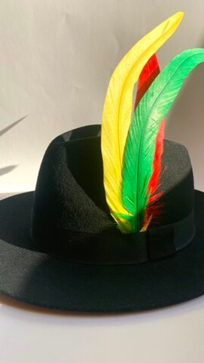 Перья петуха желтые 30 -35 см. за штуку