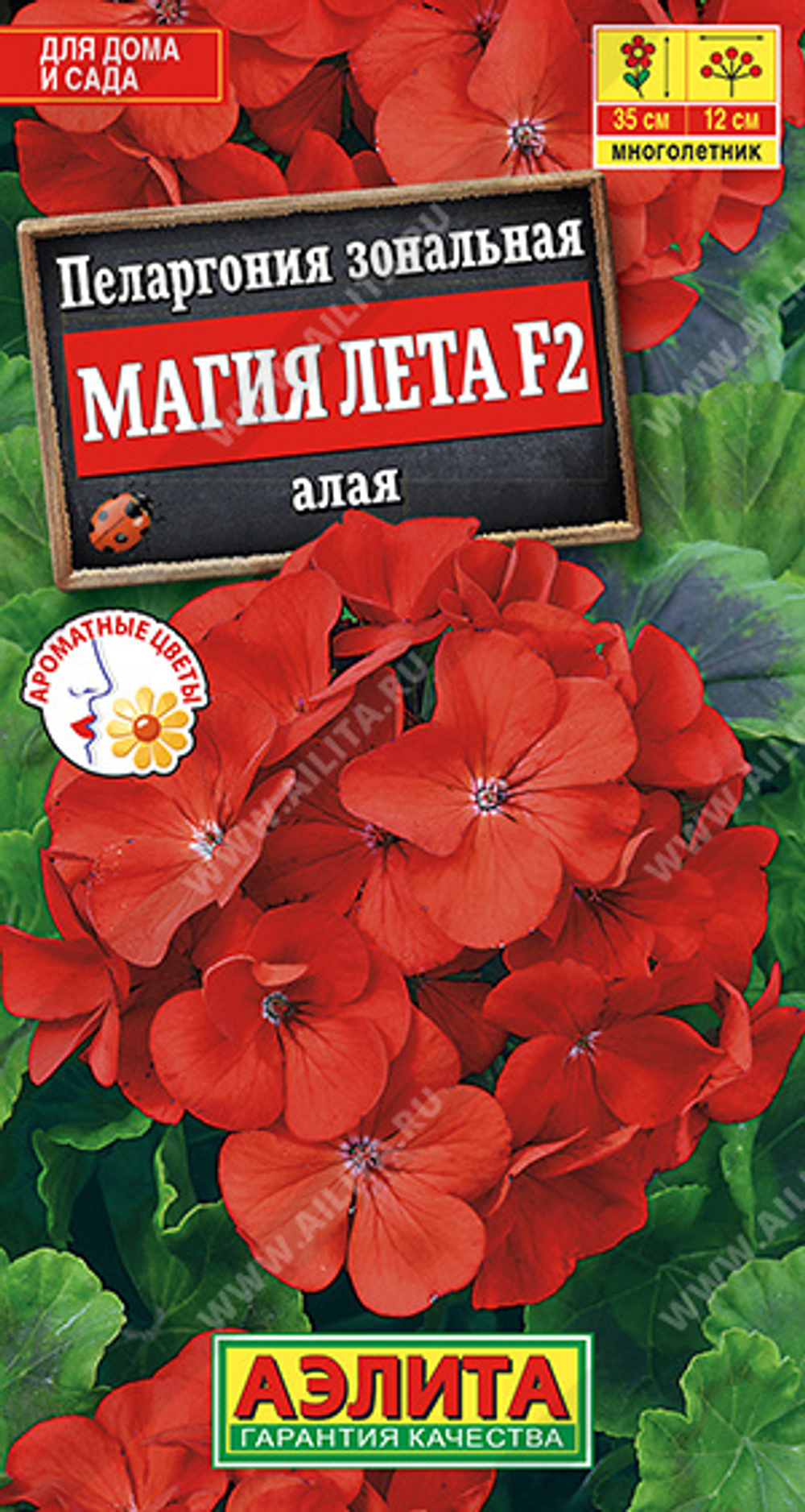 Пеларгония Магия лета алая F2 5шт Аэлита