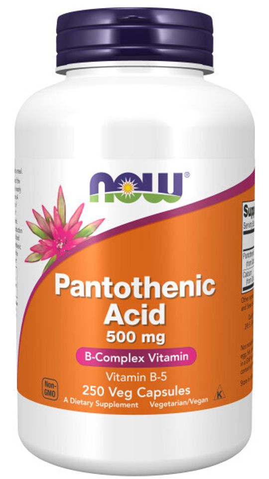 Pantothenic Acid 500 mg 250 caps