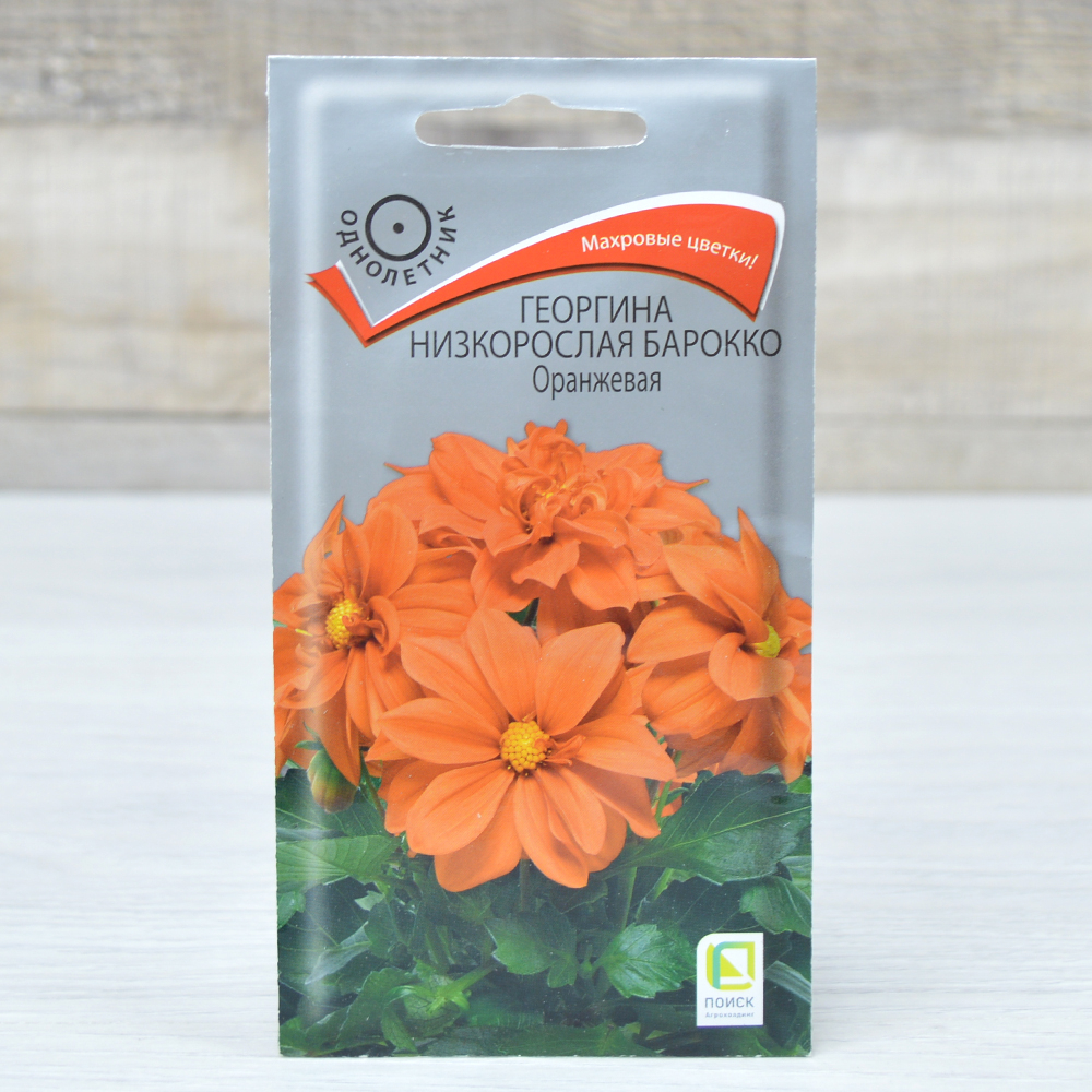 ГЕОРГИНА Барокко, оранжевая, низкорослая (0,1г) Цв.пак. (10шт)