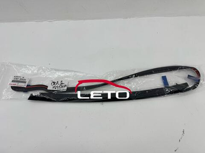 WEATHERSTRIP, RR DOOR, NO.4 RH 67897-60020