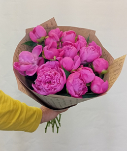 Букет пионов Малина