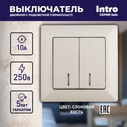 Выключатель Intro Solo 4-105-02 двухклавишный с подсветкой, 10А-250В, IP20, СУ, слоновая кость | Intro Solo