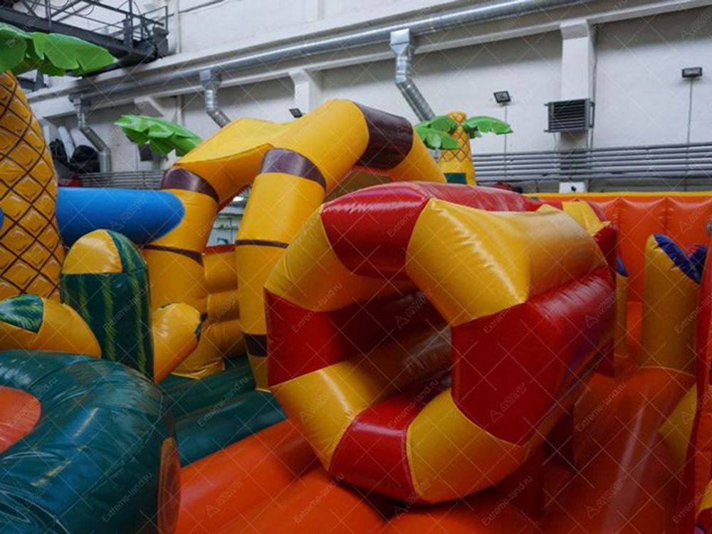 Батут "Пампасы 2"