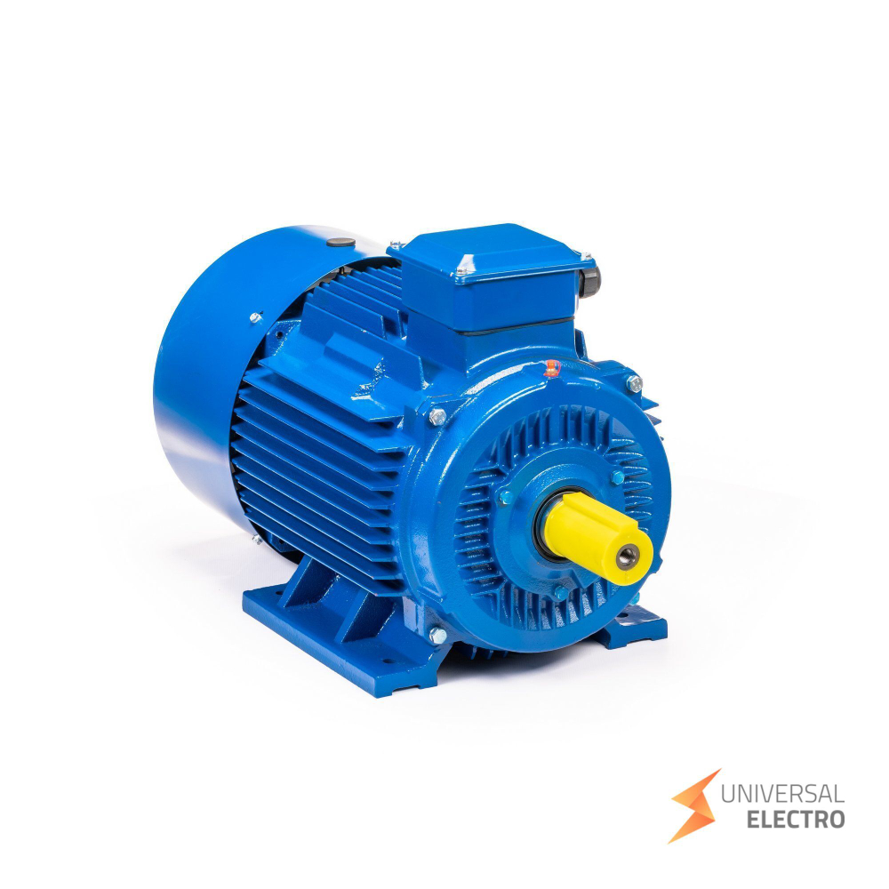 Электрический двигатель 5АИ 200 L2 45/3000 IM 1001