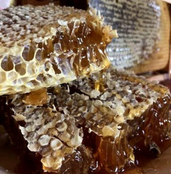 Мёд цветочный в мини- сотах разнотравный, Алтайский край, 385-490 гр.